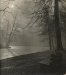 Unknown photographer, Post pictorialist sous bois in the morning