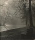 Unknown photographer, Post pictorialist sous bois in the morning