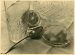 Roger Populaire, l�Apero