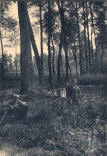 Lemajeur, G., Untitled