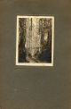 Unknown photographer, Impressionist landscape #2
