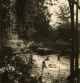 Unknown photographer, Nudist Camp Linkebeek # 30