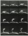 Mount Wilson Observatory, Rapid evolution of a solar prominence