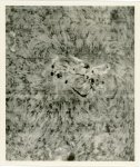 Mount Wilson Observatory, Sun spot group
