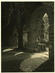 Alexis Delcroix, Light study