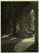 Alexis Delcroix, Light study
