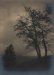 Raymond Tibaut, Cr�puscule tragique