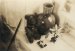 Anonymous, Still life with teddy bear