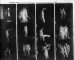 Anonymous, Contactsheet #2