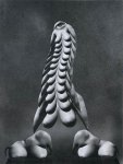 Allen A. Dutton, #6 �Bestriding two Pecdelts�