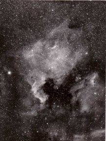 Anonymous, North America Nebula, Cygnus, NGC 7000