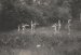 Unknown photographer, Nudist Camp Linkebeek # 7