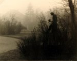 Anonymous, Park