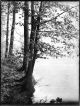 Jules Lejeune, Etang, Paper negative #2