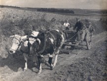 Mathieu G., Farmer