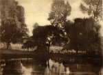 Jules Lejeune, Etang #2