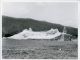 NRAO/AUI, NRAO 300-foot telescope collapsed (2 photos)