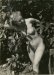 Unknown photographer, Hiding nude