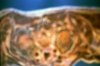 Verf., HUMAN war BODY terror AFTER aggression23