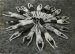 Unknown photographer, Group of people enjoying outdoor life #12