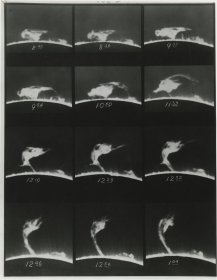 Mount Wilson Observatory, Rapid evolution of a solar prominence