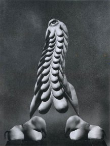 Allen A. Dutton, #6 �Bestriding two Pecdelts�