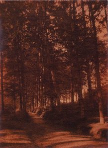 Jules Lejeune, Le chemin creux