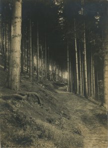 Jean Servais, Sous bois