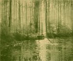 Marcel Vanderkindere, Bord du lac