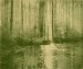 Marcel Vanderkindere, Bord du lac