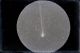 Unknown photographer, Set of 2 glass negatives of Comet Morehous