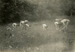 Unknown photographer, Nudist Camp Linkebeek # 20