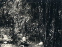 Anonymous, Palm Grove, Victoria Falls, Rhodesia
