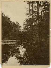 Jules Lejeune, Reflections of trees