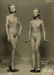 Camuzzi, M., Portait of a mannequin #