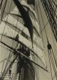 Foto Novi, Livorno, 3 photos of a tall sail boat