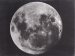 Rev. Dr. D. March, Full Moon, Bermuda