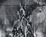Mariner 9, JPL, The Martian equator (P-12733)