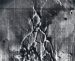 Mariner 9, JPL, The Martian equator (P-12733)