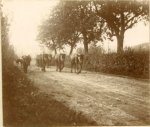Leon Keusters, Farmer horses