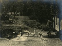 Marcel Vanderkindere, La ferme
