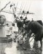 Unknown photographer, Sailors cleaning the deck