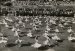 Gerhard Riebicke, Frohe T�nze, Berlin #18